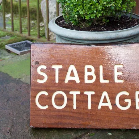 Stable Gill *